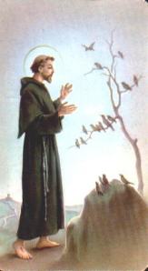 Saint Francis